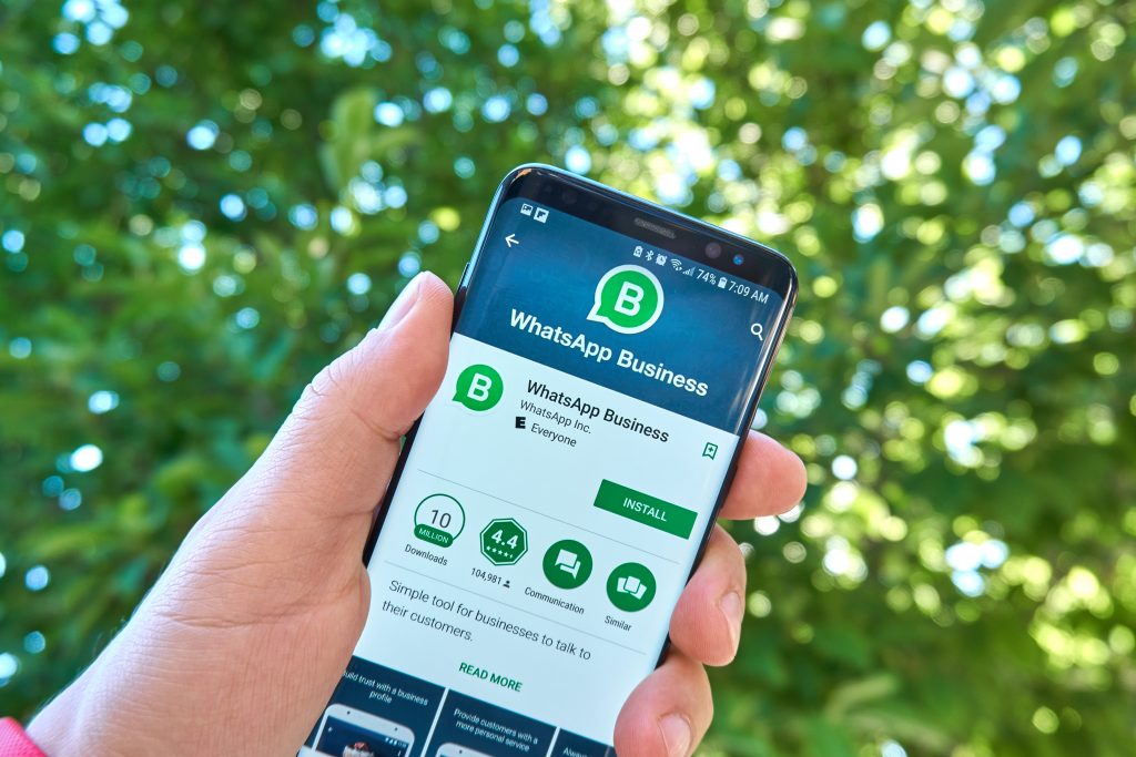 whatsapp business