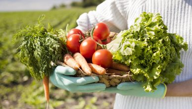 Mulher de agricultura segurando uma cesta cheia de vegetais diferentes