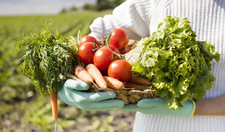 Mulher de agricultura segurando uma cesta cheia de vegetais diferentes