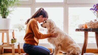 Três segredos da harmonia entre pets e decoração
