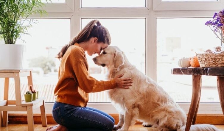 Três segredos da harmonia entre pets e decoração