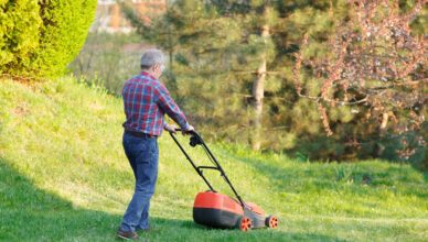 Equipamentos Certos Aumentam Produtividade e Valorizam o Negócio