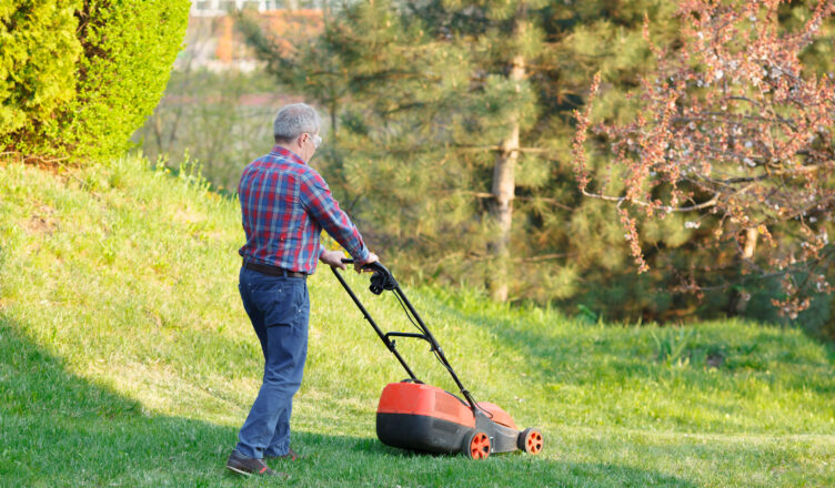 Equipamentos Certos Aumentam Produtividade e Valorizam o Negócio